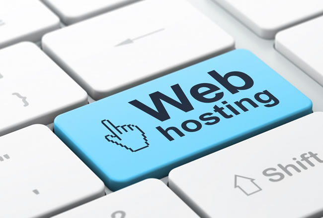 instalación, actualización y mantenimiento de servicios de web hosting y dominios